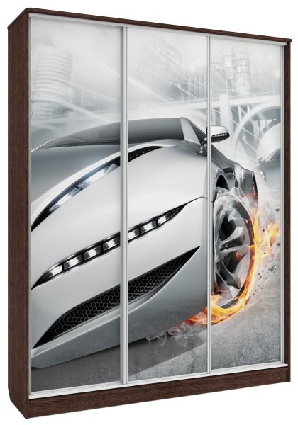 Шкаф купе с фотопечатью