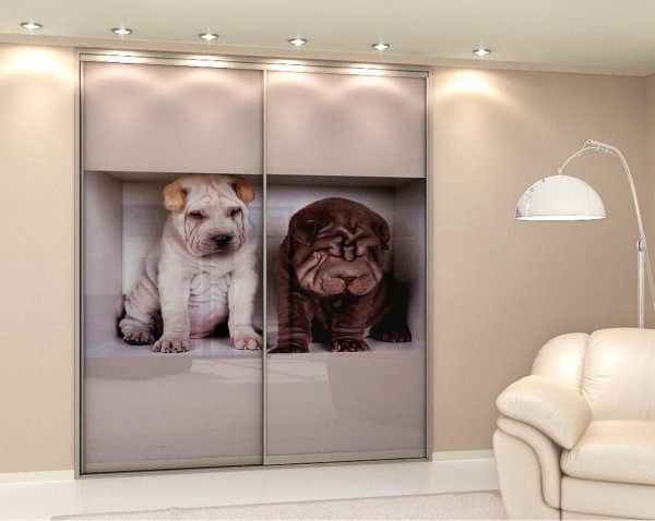 Фотопечать на шкаф купе 2 двери
