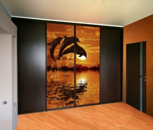 Шкаф купе с фотопечатью
