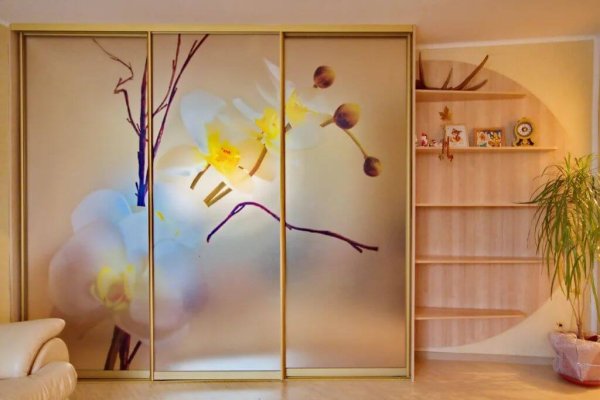 Встроенные шкафы рисунки