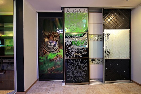 Шкаф купе с фотопечатью лес