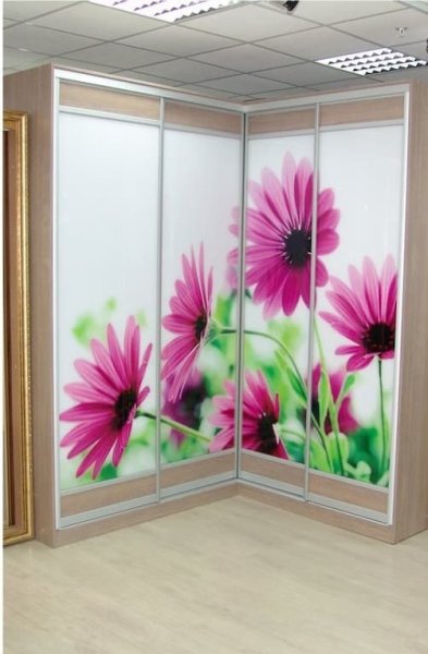 Шкаф купе Рамир 4