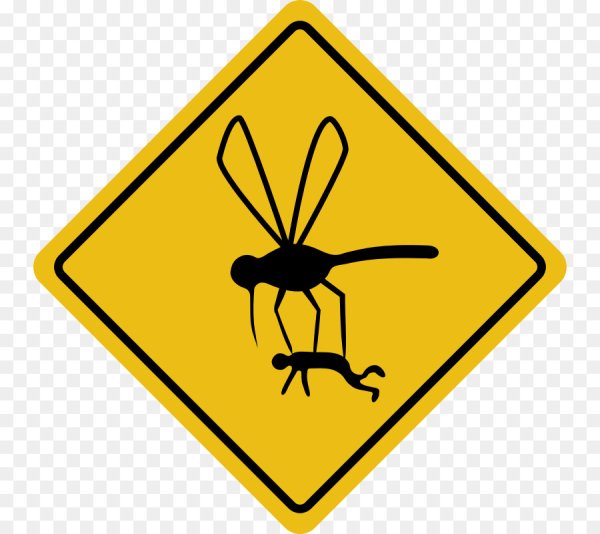 Знак осторожно мухи