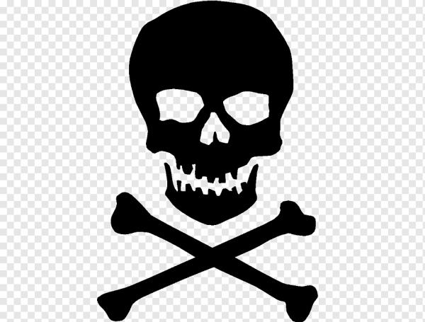 Skull and Bones череп и кости