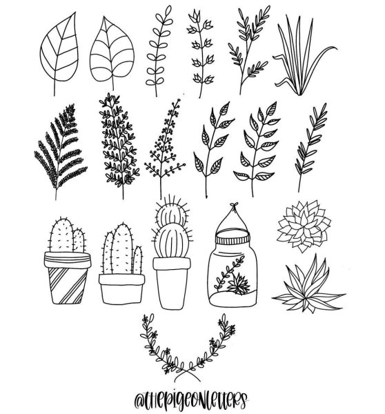 Раскраски из пинтэраса