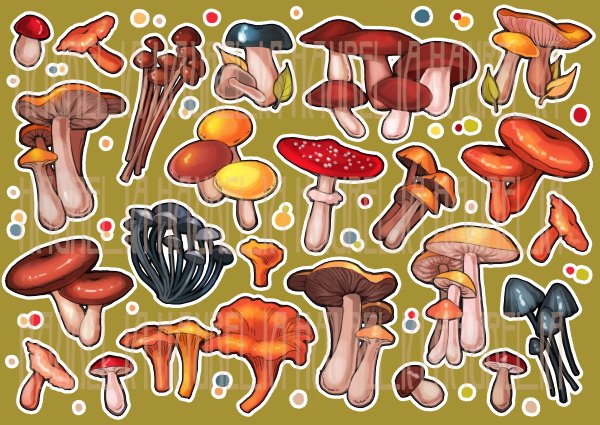 Пряники для украшения торта