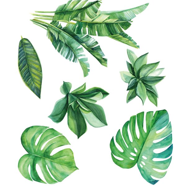 Наклейки растения листья