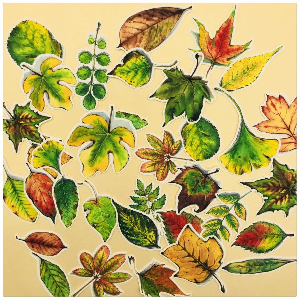 Декоративные наклейки листья