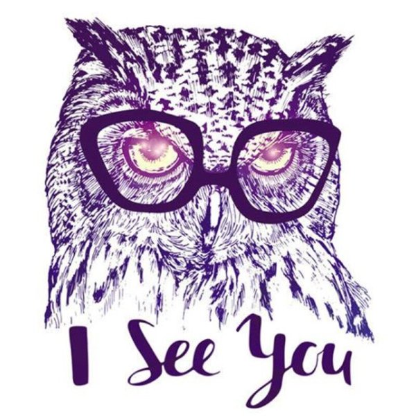 Стикеры Сова