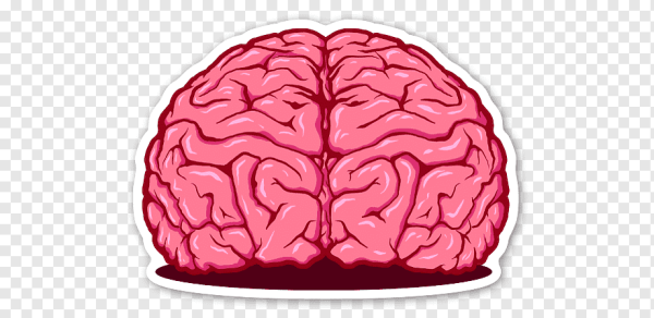 Мозг наклейка