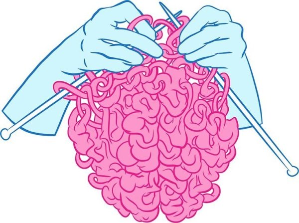 Мозг вязальщицы