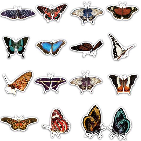 Насекомые (с наклейками)