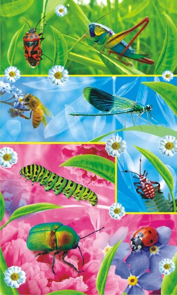 100 Наклеек. Мир насекомых