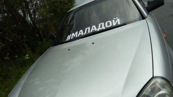 Толстух не вожу