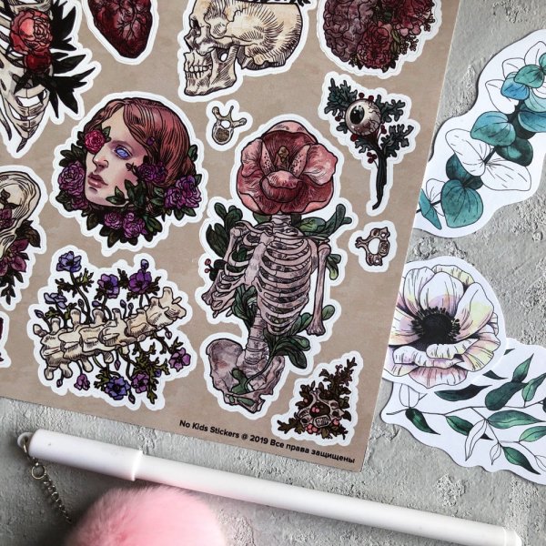 Стикерпак анатомия