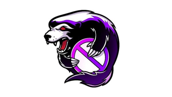 Команда аутсайдер КС го