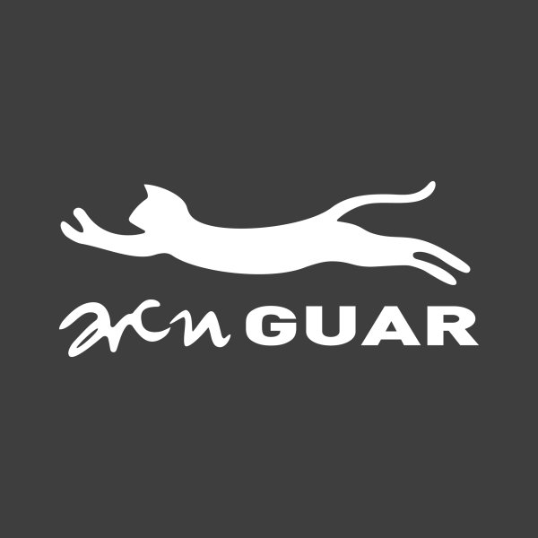 Надпись жигуар