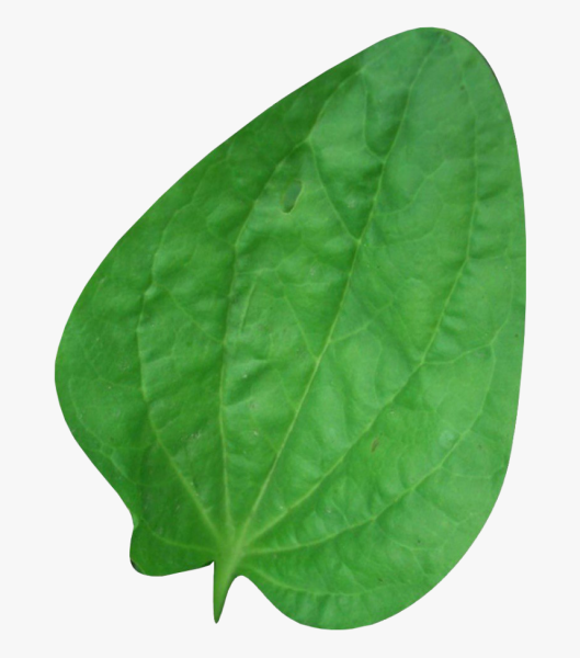 Наклейка машинка не болей