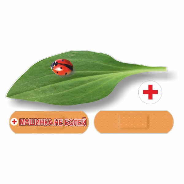 Подорожник лист