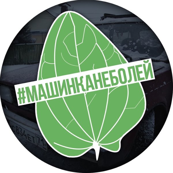 Подорожник на белом фоне