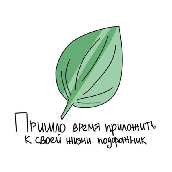 Машинка не болей подорожник