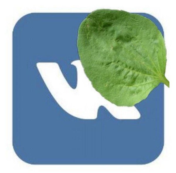 ВК не болей