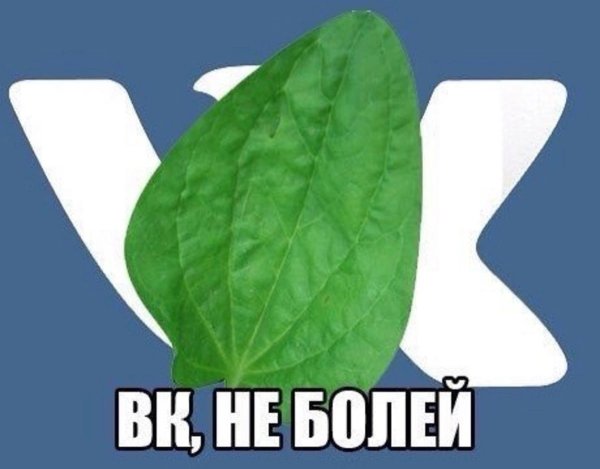 Приложи подорожник