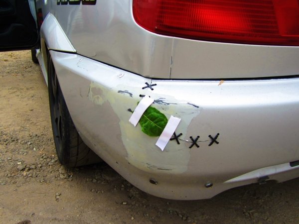 Подорожник на машине