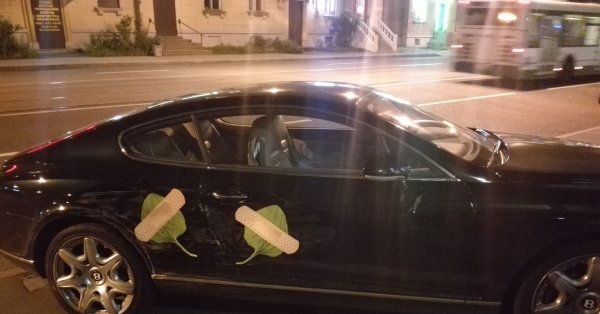 Подорожник прикол