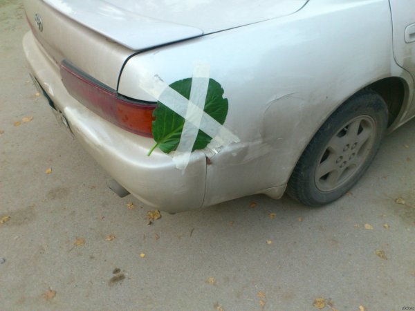 Подорожник лист