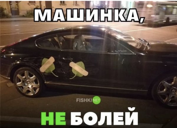 Синяя изолента и подорожник