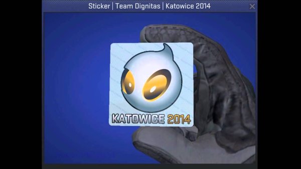 Dignitas Holo 2014