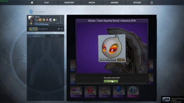 Dignitas логотип