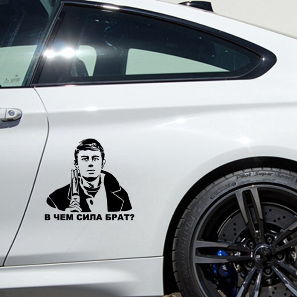 Данила Багров брат