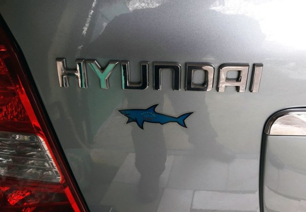 Chevrolet Cruze 2011-15 эмблема значок на багажник