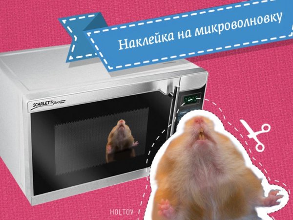 Наклейки на микроволновку