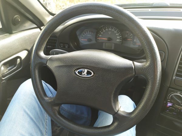 Значок Лады калины