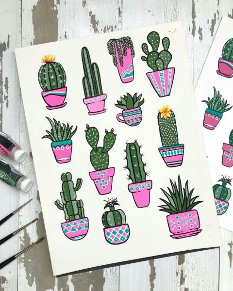 Кактус для срисовки