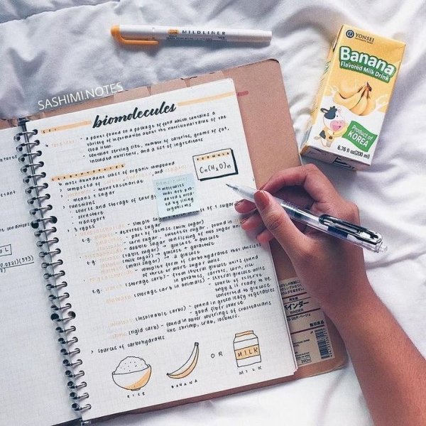 Красивые наклейки для конспектов