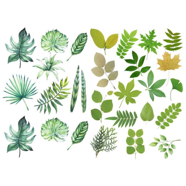 Растительность для скрапбукинга