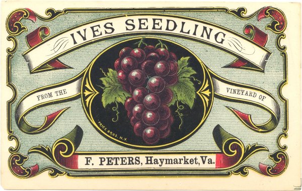 Компот этикетка