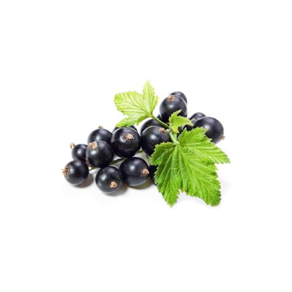 Этикетка наливка Смородиновая