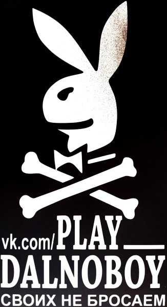 Наклейка Play Dalnoboy