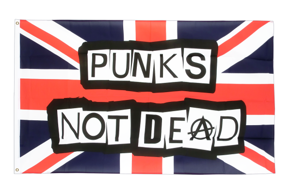 Punks not Dead надпись