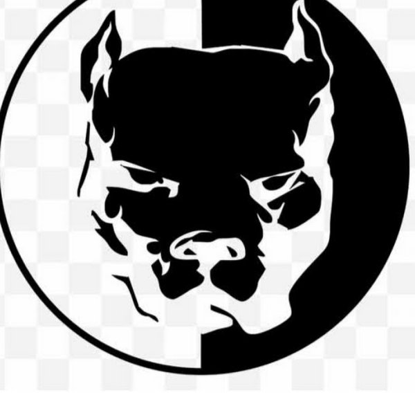 Наклейки питбуля