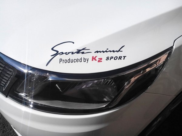 Наклейки на капот Киа Рио