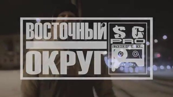Восточный округ логотип