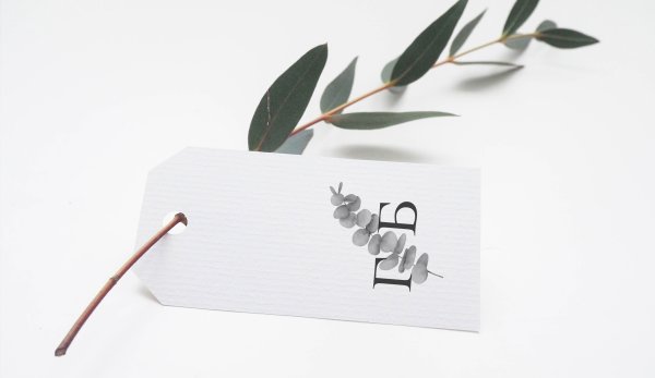 Мокапы упаковки еды