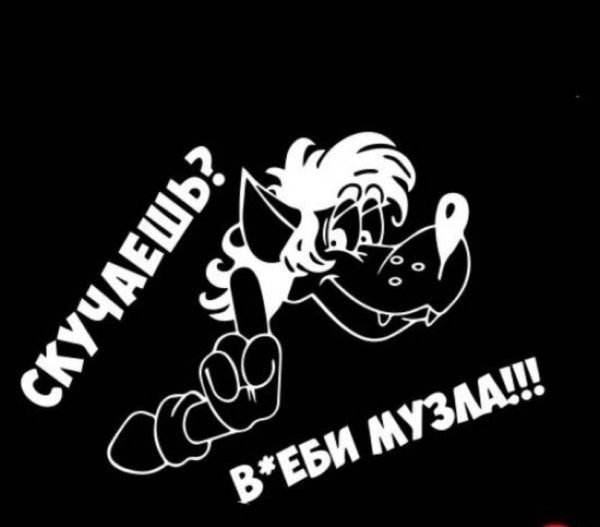 Студия Автозвука медведь Рамазан