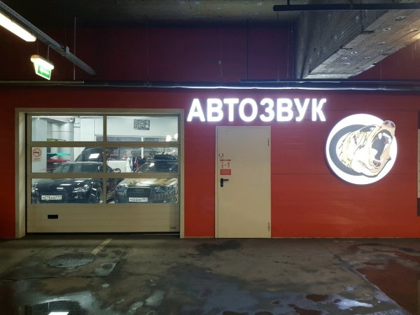 Студия Автозвука медведь Рамазан